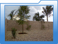 Click for larger Erudite, LLC Arizona rental property