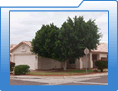 Click for larger Erudite, LLC Arizona rental property