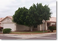 4040 W. Lone Cactus Drive