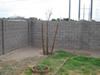 Property Preservation
