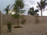 Property Preservation