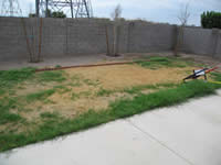 Property Preservation